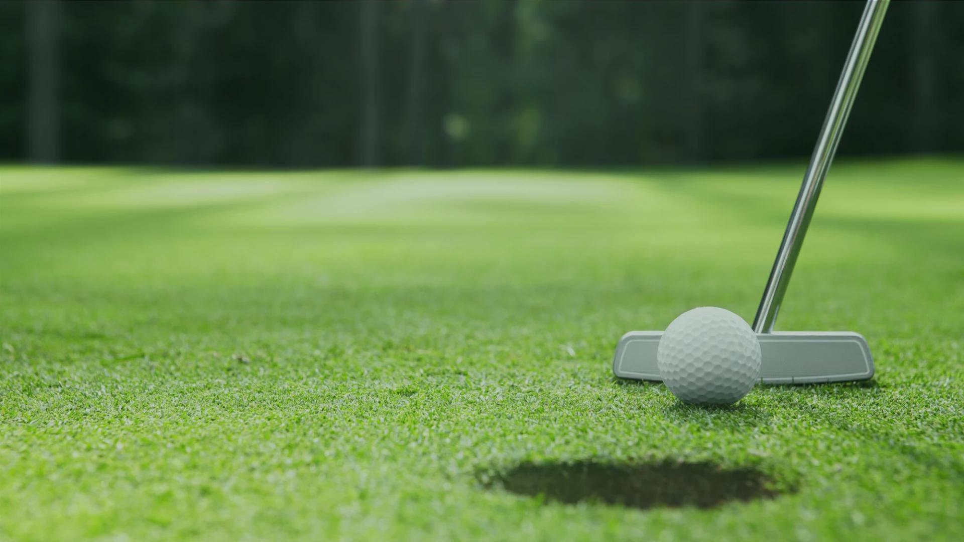 Cheap Odyssey Putters Store -Cheap Odyssey Putters Store the ball at the hole and golf putter